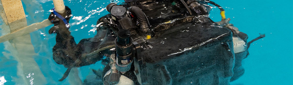 Secure Communications